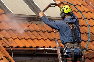 Démoussage et hydrofuge de toiture à Sigogne